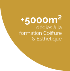 Formations coiffure esthétique